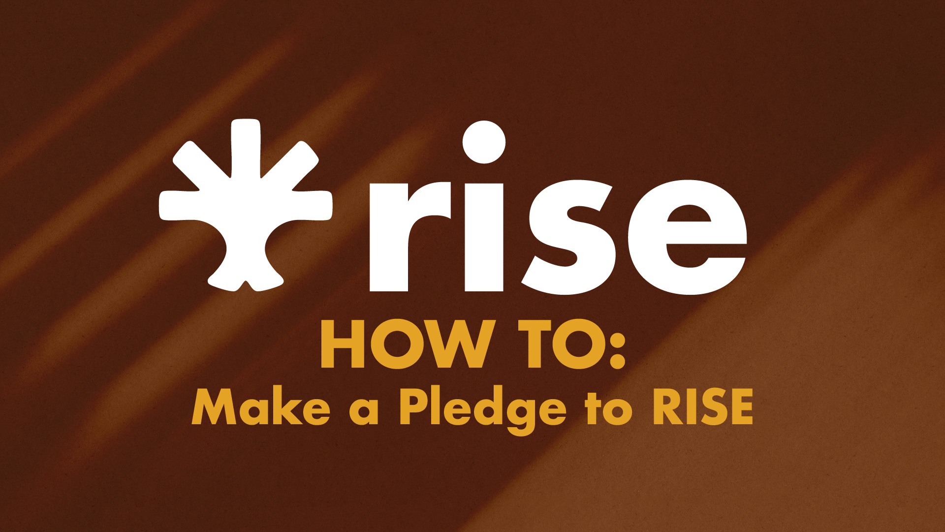 How To: Make pledge to RISE